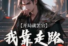 开局就罢官,我靠走路就能变强沈星河,开局就罢官,我靠走路就能变强章节在线阅读-个性文学