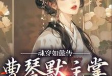 魂穿如懿传,曹琴默主掌后宫大权最新章节,魂穿如懿传,曹琴默主掌后宫大权章节在线阅读-个性文学