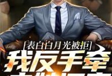 完结版《表白白月光被拒,我反手牵走她闺蜜》章节阅读-个性文学