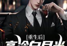 重生后，高冷白月光我不舔了小说的最新章节在哪里更新？免费追踪阅读-个性文学