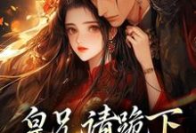 哪里能找到皇兄请跪下，这江山我要了小说的最新更新和免费章节？-个性文学