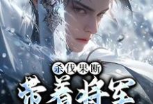 杀伐果断:带着将军抢皇位叶枭,杀伐果断:带着将军抢皇位章节在线阅读-个性文学