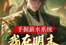 在线免费阅读手握薪水系统,我在明末月入两千两完整小说-个性文学