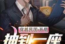 小说《穿越民国:开局抽到一座警察局》章节免费阅读-个性文学