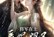 已完结小说《将军在上,医妃她又攻下敌国了》章节免费阅读-个性文学