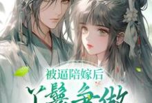 完结版《被逼陪嫁后,丫鬟争做后宫第一人》章节阅读-个性文学