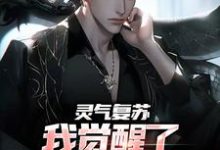 灵气复苏:我觉醒了香火功德系统小说全文哪里可以免费看?-个性文学