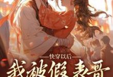 《快穿以后，我被假表哥给缠上了》小说章节在线试读，《快穿以后，我被假表哥给缠上了》最新章节目录-个性文学