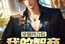 穿越四合院：我的智商震惊高层易鑫小说免费阅读-个性文学