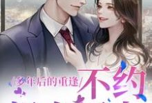免费在线阅读多年后的重逢，不约，姐有男友小说的正规网站有哪些？-个性文学