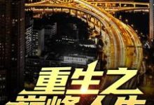 重生之巅峰人生小说，重生之巅峰人生最新章节-个性文学