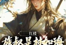 求红楼:族叔是林如海,在线当大佬小说的全文免费阅读链接-个性文学