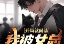 求推荐可以免费阅读开局就面基,我被女总裁甩了小说的网站-个性文学