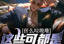 什么垃圾堆？这些可都是科技神器！小说，什么垃圾堆？这些可都是科技神器！章节在线阅读-个性文学