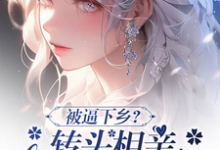 被逼下乡？转头相亲嫁首长被娇宠苏雨清沈霆钧小说完结版章节在线阅读-个性文学