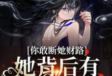 小说《你敢断她财路?她背后有地下大佬!》在线章节阅读-个性文学