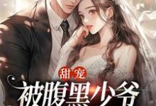 完结版《甜宠:被腹黑少爷藏起来的娇宝》章节阅读-个性文学