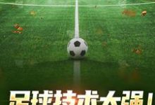 完结版《足球技术太强！我，控场球王》章节目录在线阅读-个性文学