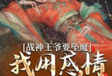 战神王爷要坠魔,我用感情拯救他免费阅读,战神王爷要坠魔,我用感情拯救他苏婉清陆少卿-个性文学