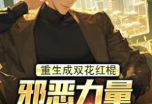 小说《重生成双花红棍，邪恶力量颤抖吧！》章节免费阅读-个性文学