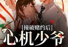 《撞破赌约后，心机少爷缠上我》小说顾肆一武云云章节章节免费在线阅读-个性文学