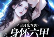 白月光驾到身怀六甲，京圈炸燃了小说的无弹窗阅读体验，寻找免费阅读网站-个性文学