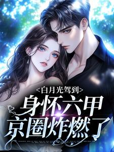 白月光驾到身怀六甲，京圈炸燃了小说的无弹窗阅读体验，寻找免费阅读网站