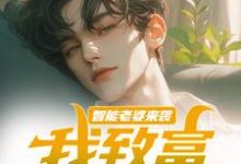 苏富夏李紫苏小说智能老婆来袭,我致富全靠躺章节免费阅读-个性文学