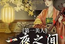 第一美人，一夜之间沦为笑柄小说，第一美人，一夜之间沦为笑柄在线阅读-个性文学