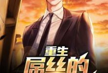 重生：屌丝的逆袭之路免费阅读，重生：屌丝的逆袭之路章节目录-个性文学