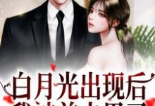 在线寻找白月光出现后，我被前夫甩了小说的无删减版本-个性文学