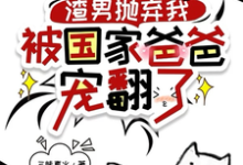 渣男抛弃我，被国家爸爸宠翻了小说最新章节在哪里可以读到？-个性文学