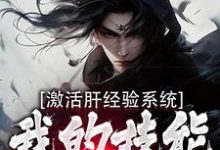 小说《激活肝经验系统，我的技能无限提升》章节免费阅读-个性文学