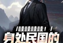 哪里能找到哇哇哇哇!身处民国的我变大佬小说的最新更新和免费章节?-个性文学