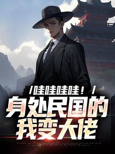 哪里能找到哇哇哇哇！身处民国的我变大佬小说的最新更新和免费章节？