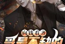 李晓峰方慧雅小说《向钱看齐？哥最不缺的就是这个》在线阅读-个性文学