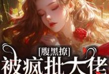 腹黑撩！被疯批大佬暗诱攻陷小说，腹黑撩！被疯批大佬暗诱攻陷免费阅读-个性文学