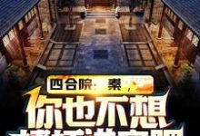 已完结小说《四合院：秦，你也不想棒梗进牢吧》在线章节阅读-个性文学