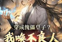 完结版《穿成傀儡皇子?我唤不良人夺证权!》免费阅读-个性文学