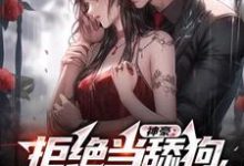 《神豪:拒绝当舔狗,我要做渣男》小说大结局免费试读 陈泽小说-个性文学