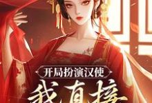 哪里能找到开局扮演汉使，我直接收揽后宫小说的全部章节？-个性文学