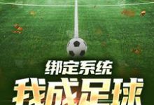 绑定系统：我成足球小飞人小说，绑定系统：我成足球小飞人免费阅读-个性文学