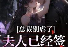 总裁别虐了,夫人已经签了离婚书免费阅读,总裁别虐了,夫人已经签了离婚书许愿傅京礼-个性文学