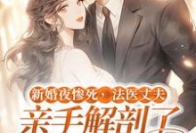 新婚夜惨死,法医丈夫亲手解剖了我的尸体小说,新婚夜惨死,法医丈夫亲手解剖了我的尸体顾南城江黎-个性文学