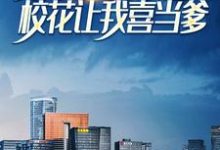 被女友分手后，校花让我喜当爹林辰小说大结局免费试读-个性文学