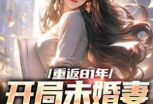 重返81年，开局未婚妻就跑了小说完结版章节免费阅读-个性文学