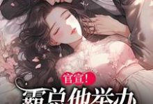 官宣!霸总他举办全球巡回婚礼小说全文哪里可以免费看?-个性文学