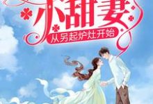 八零娇娇小甜妻，从另起炉灶开始小说的免费电子版在哪里可以下载或阅读？-个性文学