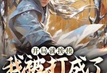 开局就挨揍，我被打成了武林至尊章节免费在线阅读，叶青完结版-个性文学