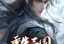 张新小说《重生三国,开局黄巾起义》在线阅读-个性文学